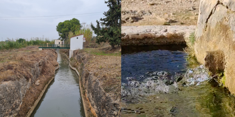 A waterway (acequia) bringing water between agricultural fields ~ A free public spring