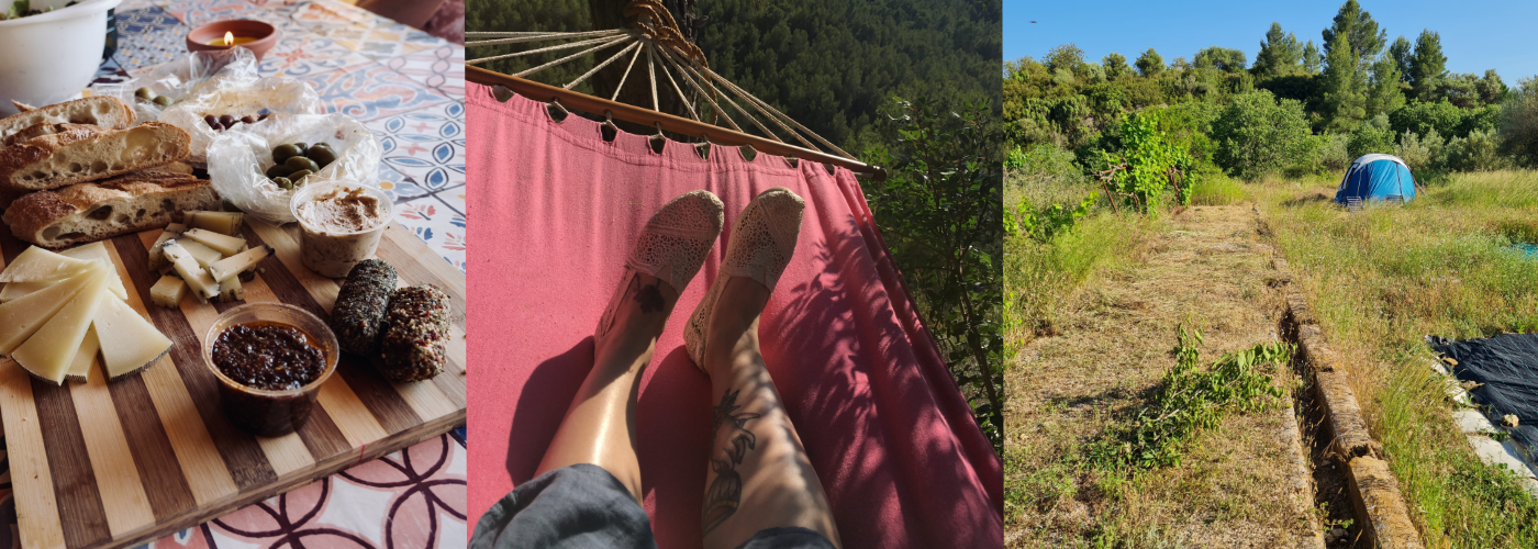 Visitors on the finca